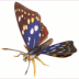 ����PDF�y�[�p�[�N���t�g�W
