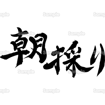 朝採り（筆文字・ヨコ）
