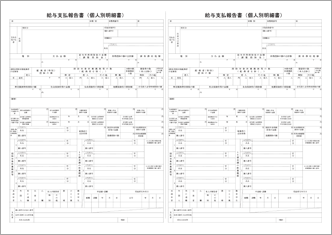 給与支払報告書（個人別明細書）
