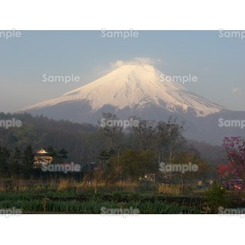 富士山-写真02