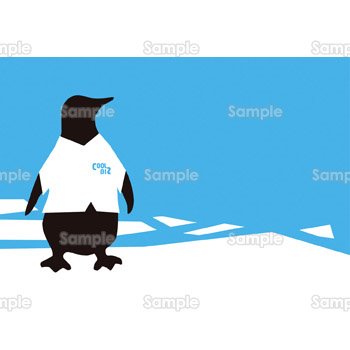 COOLBIZペンギンのハガキ背景-ヨコ