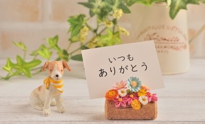 母の日に贈りたい一言メッセージ（実母・義母・妻）＆テンプレート-関連コラム