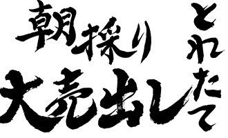 筆文字素材