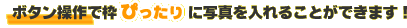 �{�^�����삾���ŃA���o���ɉ摜��}�����A���̂܂܈���ł���e���v���[�g�ł��B