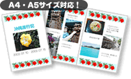 �A���o���f�U�C��������