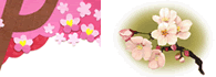 �o�����^�C�� �C���X�g