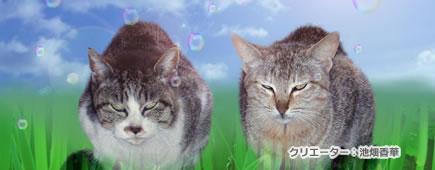 クリエーター一覧