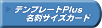 �e���v���[�gPlus ���h�T�C�Y�J�[�h