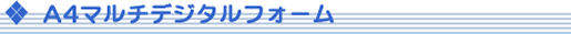 A4�}���`�f�W�^���t�H�[��