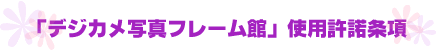�u�f�W�J���ʐ^�t���[���فv�g�p��������