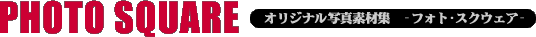 �ʐ^�f�ޏW�w�t�H�g�E�X�N�E�F�A�x