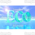  ECO