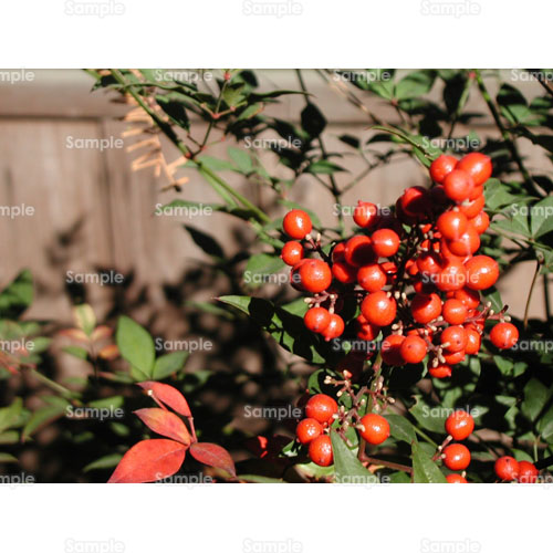 ;ȂĂGVGieG~GӂGEC^[;