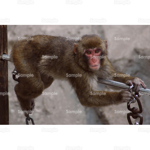 ;�T��;��;����;