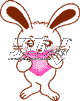 rabbit2