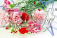 carnation15