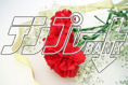 carnation17