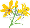 �j�b�R�E�L�X�Q �C���X�g