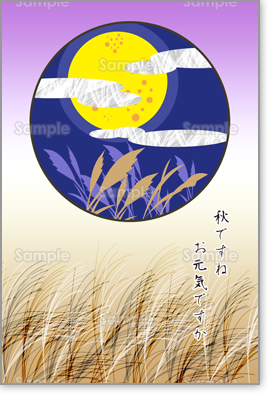 �v���r���[�摜