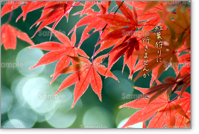 �v���r���[�摜