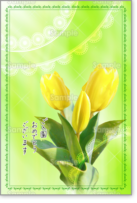 �v���r���[�摜