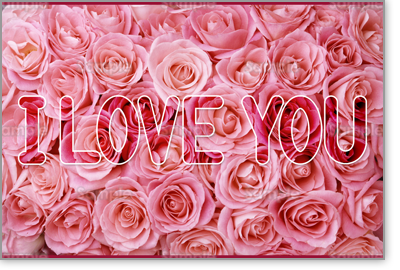 �v���r���[�摜
