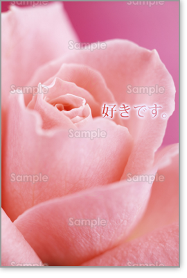 �v���r���[�摜