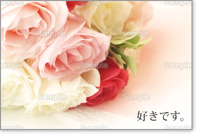 �v���r���[�摜