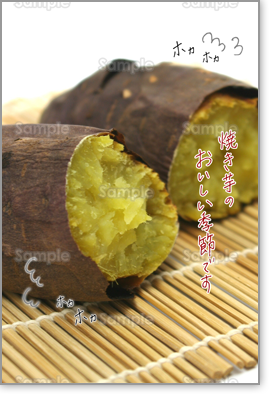 �v���r���[�摜