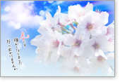 �t�ł�