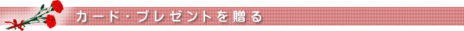 �J�[�h�E�v���[���g�𑡂�