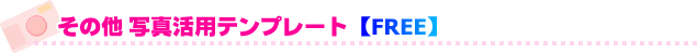 ̑ ʐ^pev[g