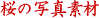 ���̎ʐ^�f��