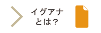 イグアナとは？