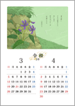 万葉の花カレンダー 3・4月＜すみれ＞