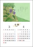 万葉の花カレンダー 3・4月＜すみれ＞