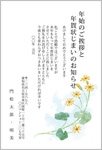 ツワブキの花-年賀状じまい挨拶状（年始の挨拶を兼ねて）