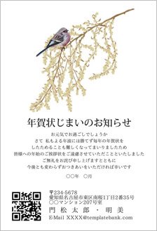ベニマシコとセイタカアワダチソウ-年賀状じまい挨拶状