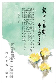 雪原に咲く福寿草-年賀状じまい挨拶状(寒中見舞い)
