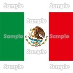 国旗-メキシコ