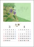 万葉の花カレンダー 3・4月＜すみれ＞