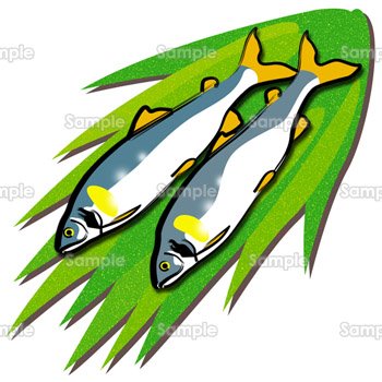 魚 鮎 のテンプレート 素材 無料ダウンロード ビジネスフォーマット 雛形 のテンプレートbank