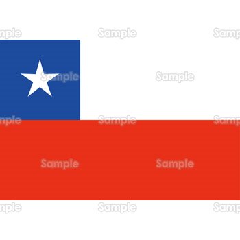 国旗-チリ