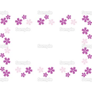 紫の桜フレーム（横）
