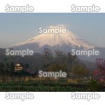 富士山-写真02
