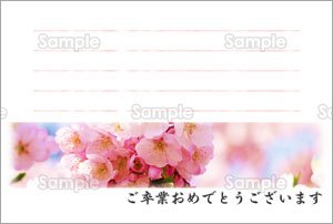 桜 卒業おめでとう のテンプレート 素材 無料ダウンロード