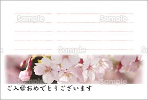 桜－入学おめでとう