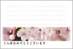 「桜−入学おめでとう」メッセージカード