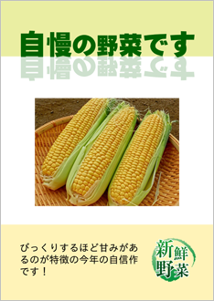 POP「自慢の野菜です」