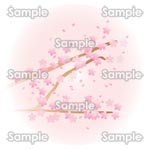桜04